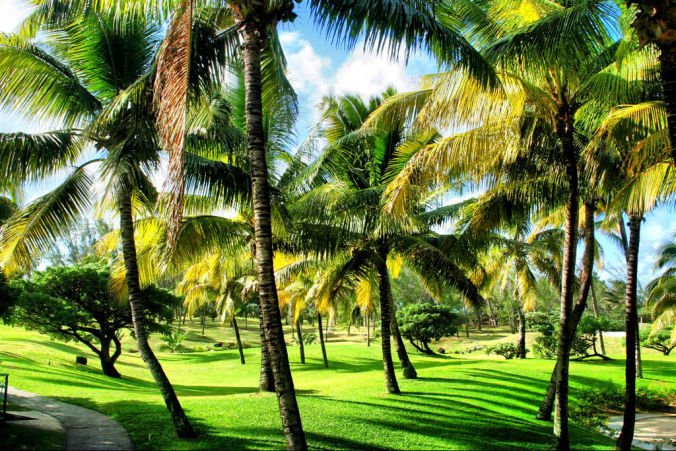 Hotels and Tourism Development